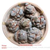 七 五宝散 西参 石斛 天麻 洋滋EBH补养生 丹参 三四宝散