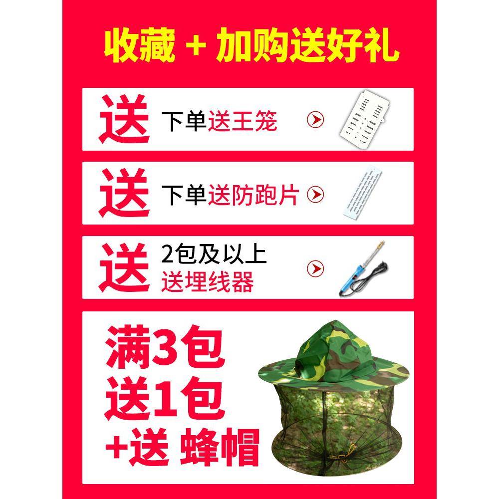 中蜂巢础蜜蜂工具蜂巢础全套专养蜂工具基蜂蜡蜂箱HIZ养蜂巢巢用