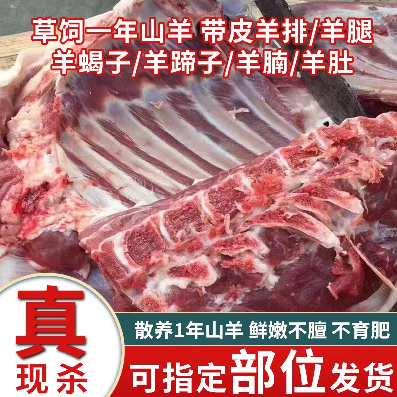 云陵羊肉草饲散养新鲜不膻品质高