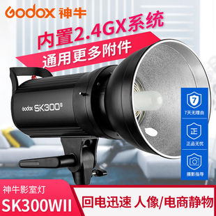 神牛（Godox）神牛（Godox)300w二代影室闪光灯摄影棚补光灯摄影
