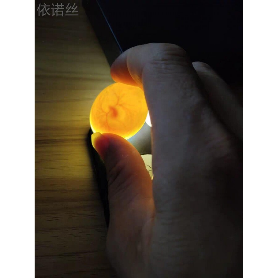 鸽子受精蛋可以孵化鸽子的种蛋人工孵化鸽蛋信鸽蛋元宝鸽受精蛋