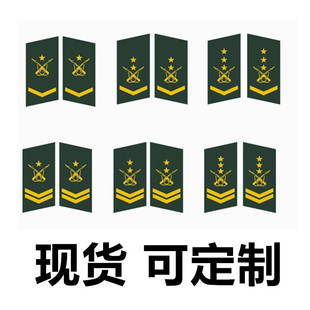 智勇新款学生军训领花户外拓展培训教官教学领标军训夏令营领章