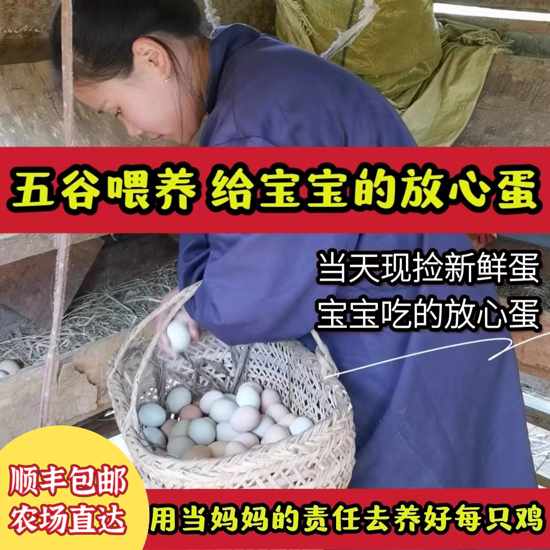 九华山五谷喂养山林散养土鸡蛋