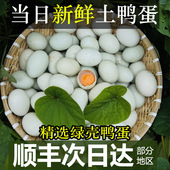 正宗农家散养绿壳青壳新鲜土鸭蛋溪水放养 顺丰现捡新鲜到家