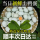 正宗农家散养绿壳青壳新鲜土鸭蛋溪水放养 顺丰现捡新鲜到家