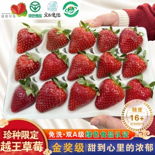 宥小宝越王建德草莓纯甜奶油草莓高端品种国产黑珍珠新鲜水果礼盒