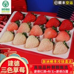 宥小宝建德三色草莓新鲜红颜白露粉玉淡雪白色大草莓牛奶水果礼盒