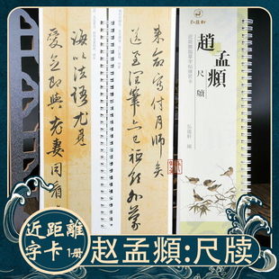 赵孟頫尺牍 毛笔行书法字帖初学者字卡碑帖 近距离临帖摹字练习卡