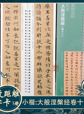 【敦煌写经】小楷书法字卡 大般涅槃经卷十二 近距离毛笔临摹字帖