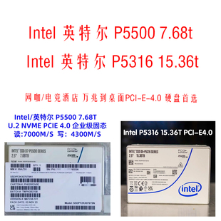 7.68T企业级U2 P5500 NVME4.0固态硬盘 15.36T intel英特尔P5316