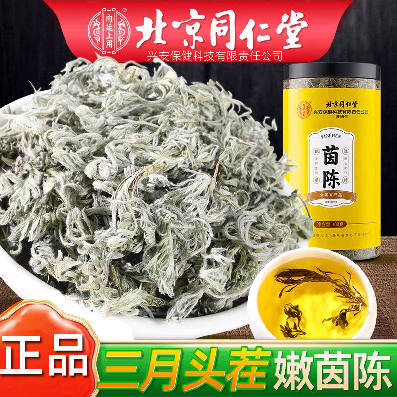 北京同仁堂茵陈中草药材原料功效与作用三月新鲜棉茵陈茶泡水泡酒