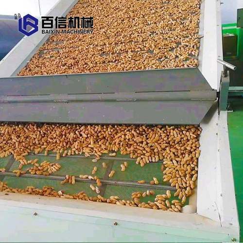 百信供应多层带式干燥机箱式烘干机热风网带式烘干设备