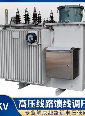 BSVR-6300KVA高压线路调压器10KV高压稳压器煤矿油田隧道矿井增压