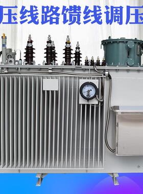 SVR-6300KVA高压线路馈线调压器10KV远距离全自动升压稳压器