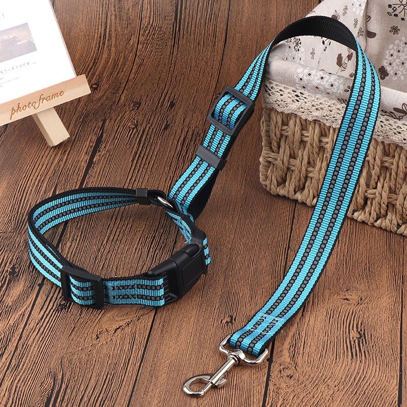 新款加粗反光宠物车载绳 狗狗牵引带车用动物安全带 遛狗链子,宠物/宠物食品及用品,狗牵引绳,淘宝优惠券,粉丝福利购,淘宝优惠卷