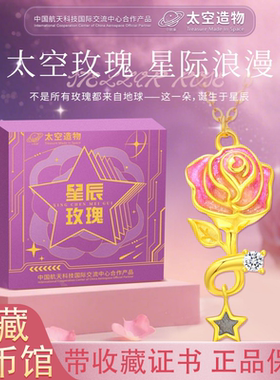 太空造物星辰玫瑰项链女小众配饰