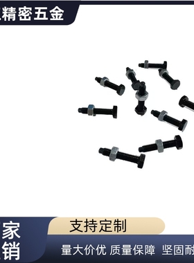 SSB-M4 M5 M6 M8 M10 M12 M16X10 15 20 25 30 35 40-A限位螺栓