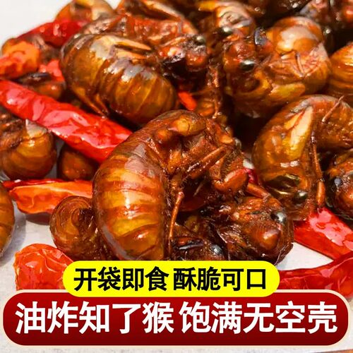 香酥知了猴油炸金蝉蛹油炸即食五香多口味唐僧肉虫子爬叉结了龟