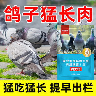 鸽大壮鸽子专用猛吃猛涨提前出栏羽毛不好干吃不长瘦弱营养吸收