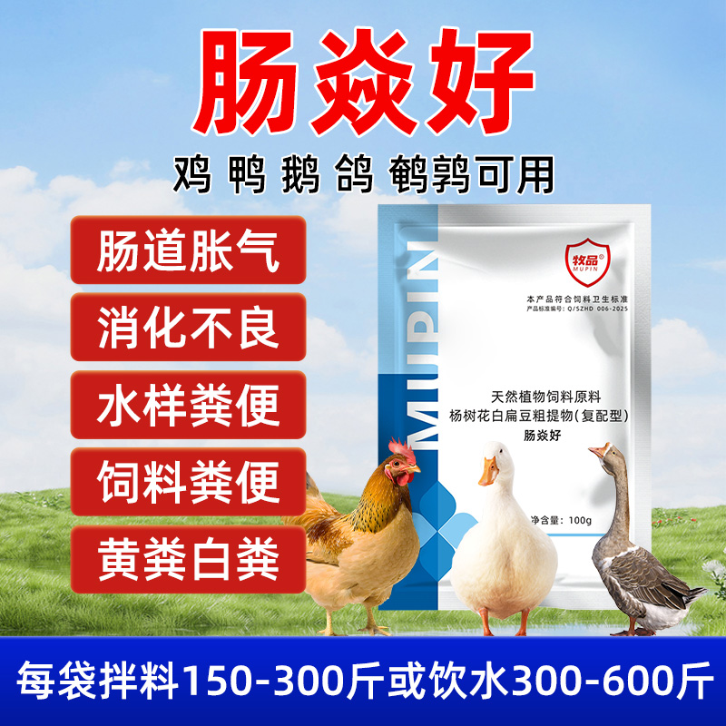 肠焱好鸡鸭鹅治疗坏死性肠炎肠道胀气消化不良采食不佳饲料添加剂
