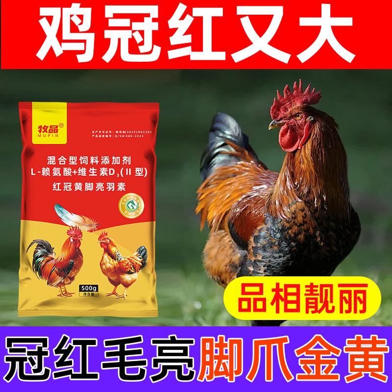 红冠黄脚亮羽素公鸡阉鸡土鸡番鸭