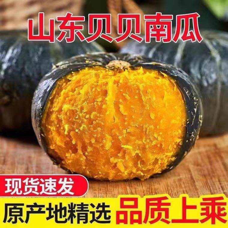 正宗真贝贝南瓜板栗味老南瓜婴儿辅食老南瓜粉糯香甜新鲜蔬菜包邮