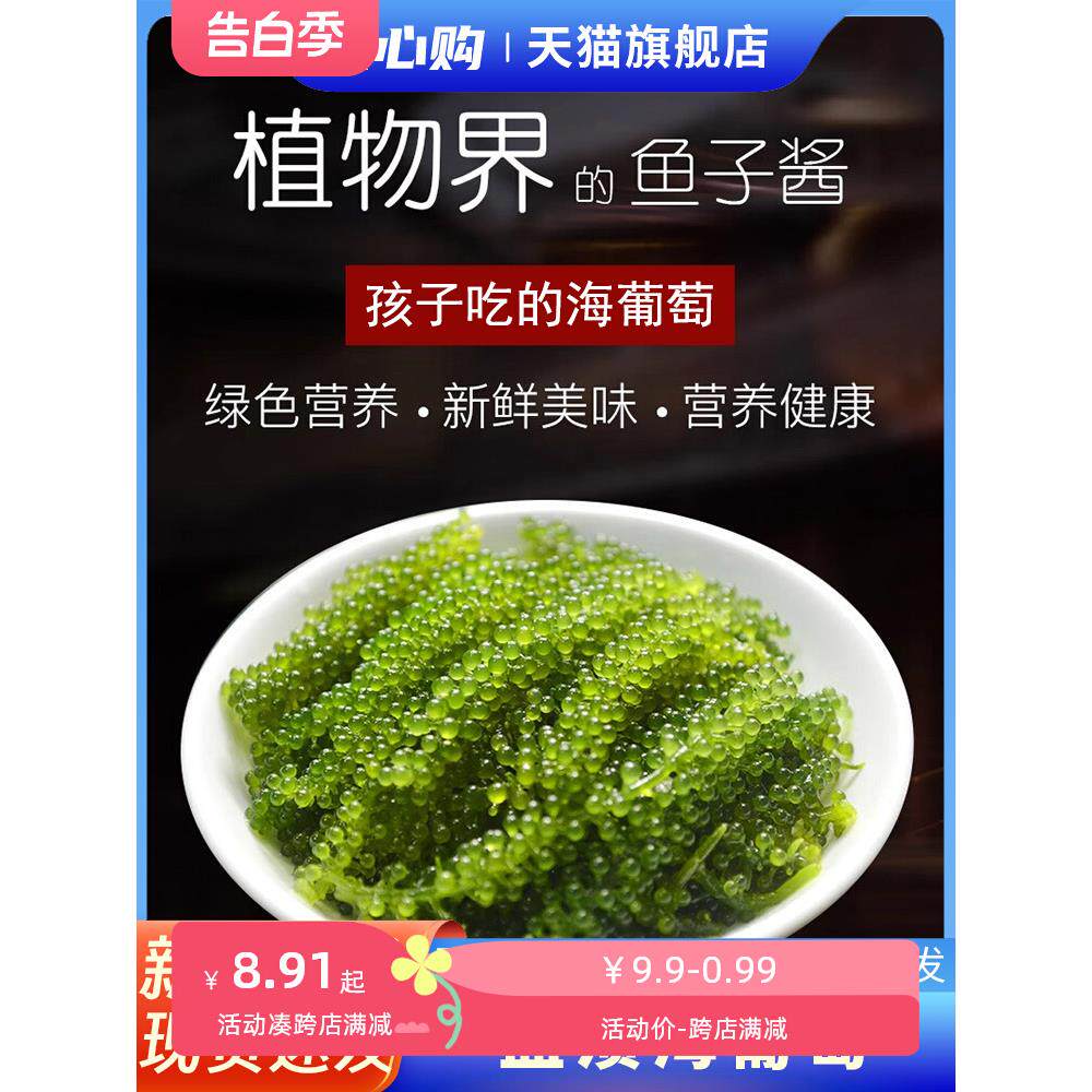 儿童海葡萄绿色鱼子酱即食泡发小孩吃的新鲜盐渍海葡萄健康食品