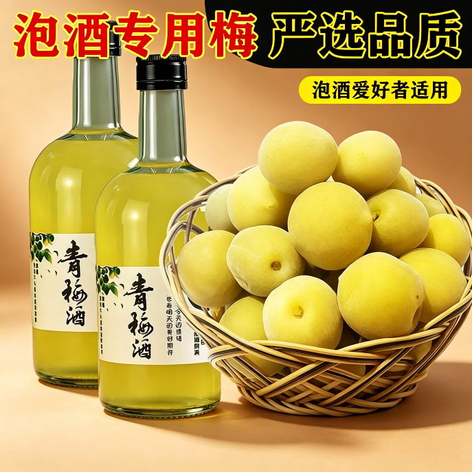 青梅泡酒专用现摘新鲜果腌制半成品解馋开胃网红款轻加工无需处理梅子酒解腻果干蜜饯冰糖泡制便捷方便果脯精选小零食爽口省事简单