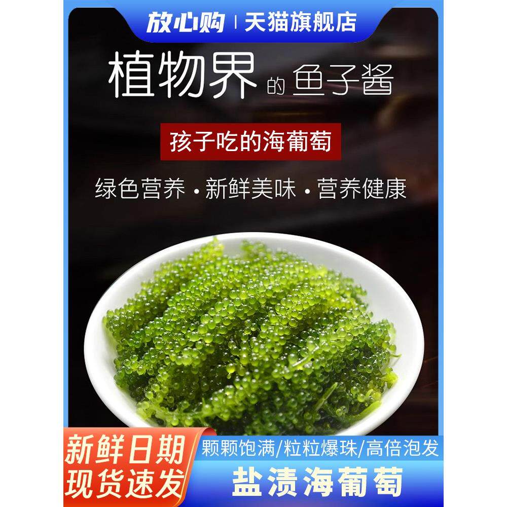 儿童海葡萄绿色鱼子酱即食泡发小孩吃的新鲜盐渍海葡萄营养健康