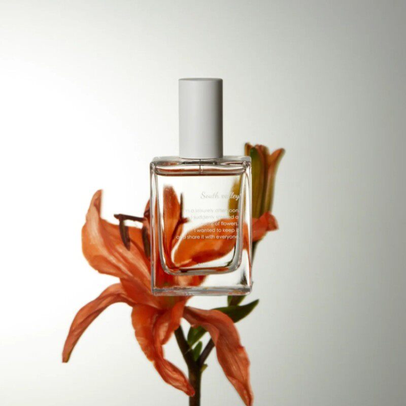 先锋书店定制香水南京城里的梦秋雨梧桐叶落时江南秘境香水小样