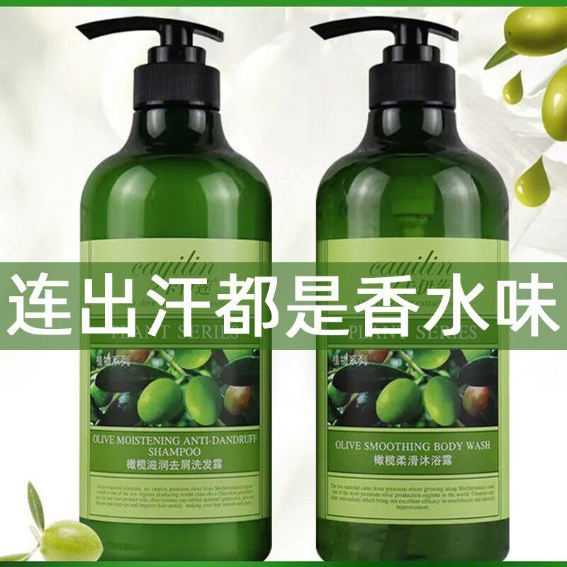 橄榄香水洗发水沐浴露持久留香72小时套装官方正品品牌旗舰店男士