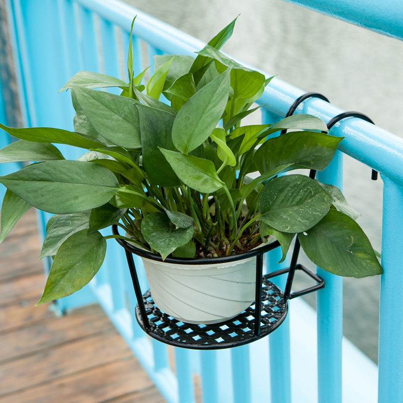 阳台养花架盆栽植物室内吊兰绿萝花盆架阳台栏杆花架挂墙绿植花架