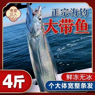 大带鱼新鲜黄海特级冷冻鲜活特大带鱼刀鱼捕捞整条海鲜水产舟山