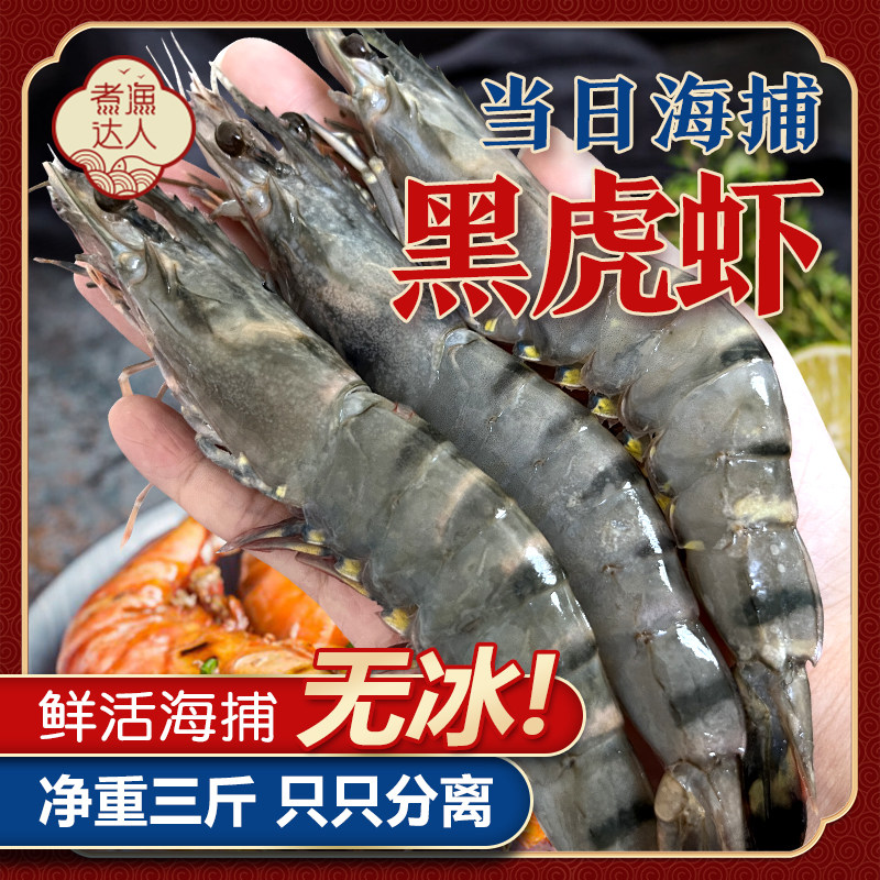 黑虎虾新鲜大虾盐冻老虎虾无冰