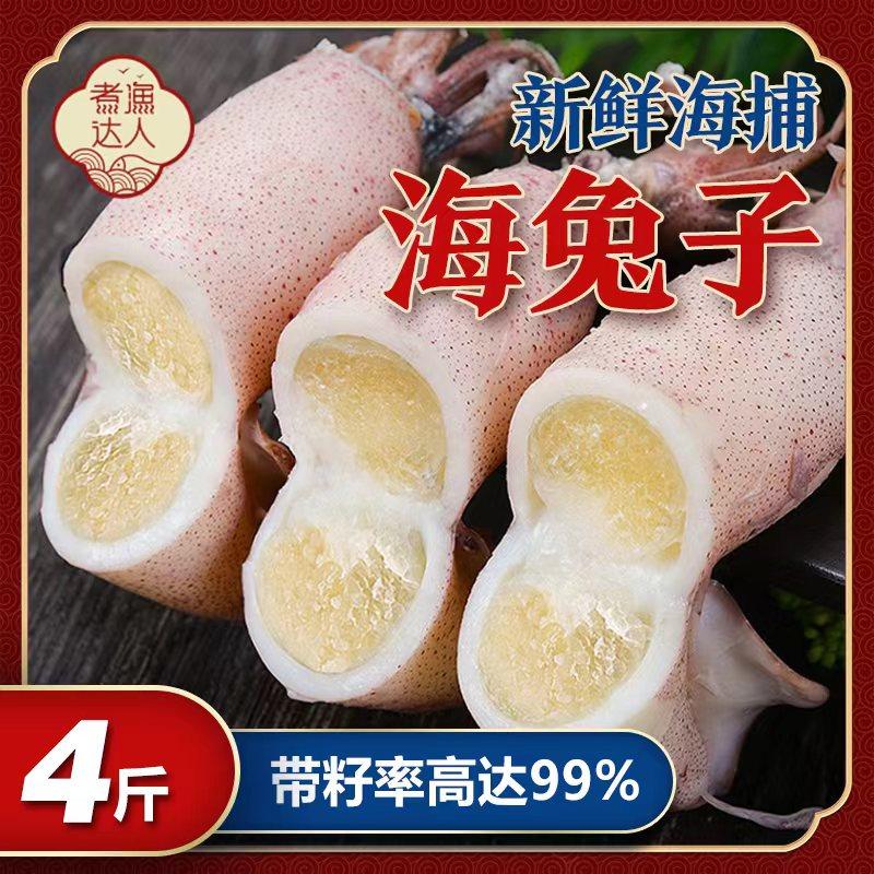 海兔子满籽墨鱼仔冷冻带籽小鱿鱼乌贼全籽新鲜大乌贼笔管鱼鲜活