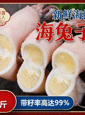 海兔子满籽墨鱼仔冷冻带籽小鱿鱼乌贼全籽新鲜大乌贼笔管鱼鲜活