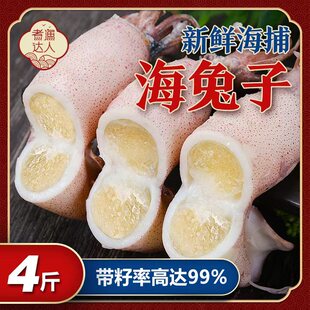 海兔子满籽墨鱼仔冷冻带籽小鱿鱼乌贼全籽新鲜大乌贼笔管鱼鲜活