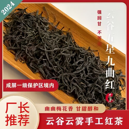 茶饕老枞红茶正宗高山九曲红梅高甜蜜香暖胃口粮茶泡水自己喝正品