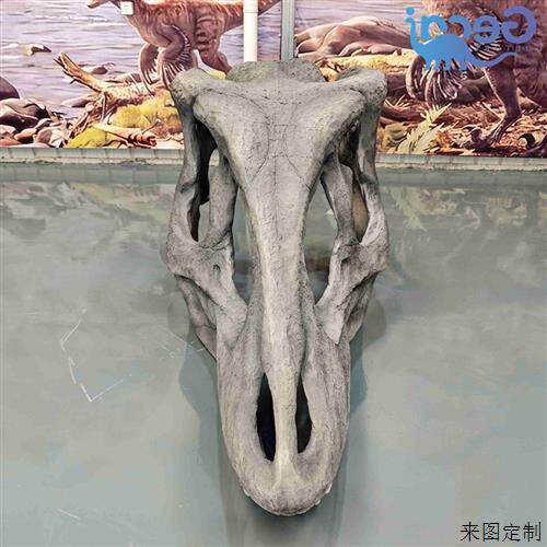 恐龙头骨身体骨骼化石博物馆科技馆学生科普展览玻璃钢模型厂家