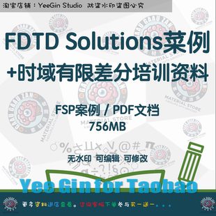 FDTD Solutions时域有限差分光源谐振腔波导光子学培训案例资料集