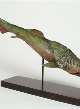 博物馆古生物鱼仿真模型欢迎订购