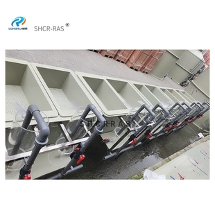 鱼虾卵孵化器水花pp鱼苗分离器工厂化鱼虾蟹亚克力孵化瓶成套装 置