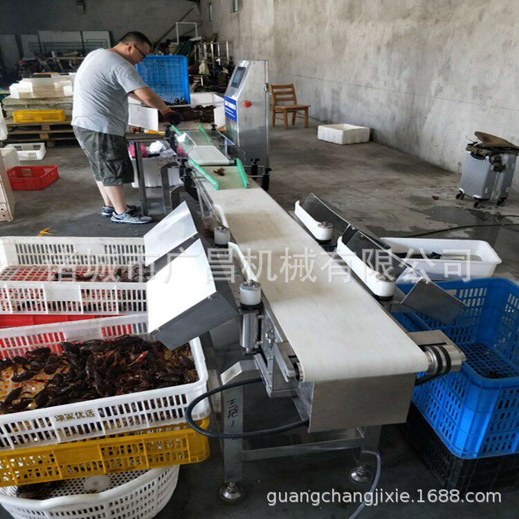 虾重量分选机 小龙虾自动分级机 自动检重设备 重量分拣机