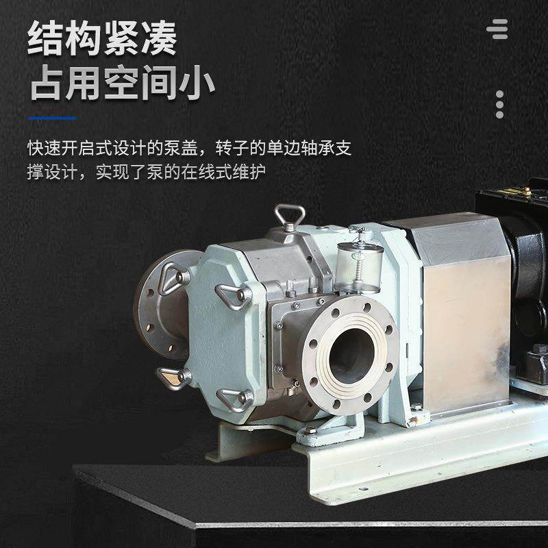 壳体双端不锈钢卫生凸轮转子泵糖