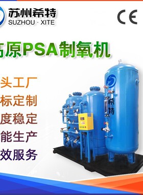 高原弥撒制氧机高原室内psa弥撒氧气发生器大型变压吸附psa制氮机