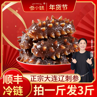 拍1发3 参小妹鲜食海参14-16头每斤 大连深海捕捞辽刺参 节日送礼