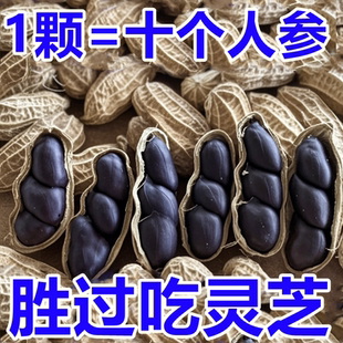 云南带壳大颗粒富硒黑花生普洱农家自产新货自然晒干黑花生