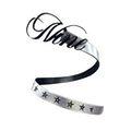 Silver Belt with Black Buckle (Anti-Theft Buckle Cannot Be Removed and Cannot Be Returned or Exchanged)