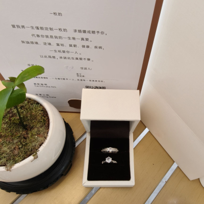 Dr Wife情侣对戒钻戒纯银一克拉结婚求婚订婚戒指送女友仿真七夕