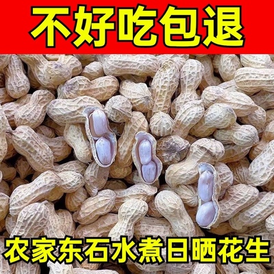 正宗客家梅州平远东石水煮白晒干花生咸干天然农家自晒原味土特产